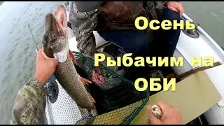 Рыбачим на Оби осенью