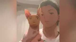 A Smeagol and Groot Compilation
