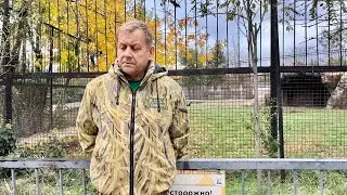 Олег Зубков рассказал о погибшей Леокадии под хор львов, выращенный этой удивительной женщиной!