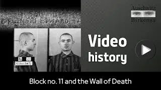 Video history | Block no. 11 and the Wall of Death