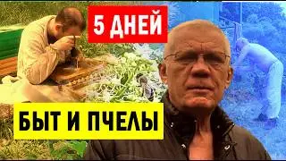 Кочевая пасека Быт на пасеке Жизнь на пасеке пчеловода