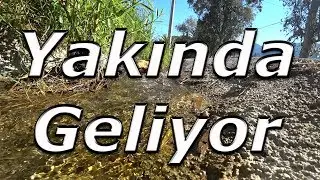 Karia Yollarına Doğru (2. Gün) Yakında Geliyor