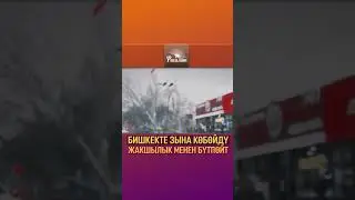 Зынанын кесепети