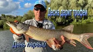 Трофейная рыбалка по щуке.  День первый