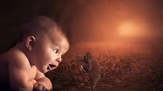 Photoshop Tutorial | Photo Manipulation Change Background &  elefent and boy