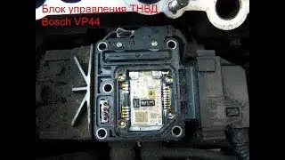 Error P1630 P1631 P1650 P1651 Opel VP-44
