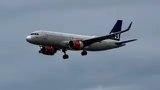 SAS ARLINES #planespotting