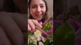 Laisse moi prendre soin de toi (tu es une coccinelle) 🐞 l Vidéo longue disponible
