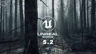 After the Fire | Unreal Engine 5.2 | MW Burned Dead Trees Forest Biome
