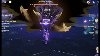 C0 Raiden Rational in floor12 without geo character - genshin impact