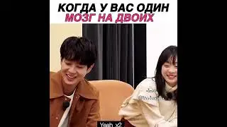 когда у вас один мозг на двоих