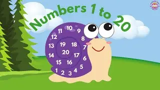 Numbers 1 to 20 - Counting Numbers - Numbers 1 to 20 Lesson for Kids - Count to 20 for Children
