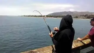 batray - ventura pier fishing