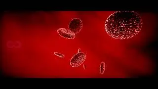 BLOOD CELL | IDFX Animations | 2020