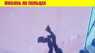 ЛЮБОВЬ НА ПАЛЬЦАХ 