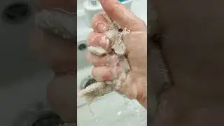 Мотивация на уборку. Порядок на кухне.