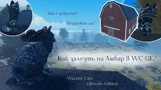 КАК ЗАЛЕЗТЬ НА АМБАР В WC:UE?! Баг/Действия | Warrior Cats: Ultimate Edition - Roblox