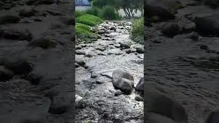 Finally a Clean View of the River :)