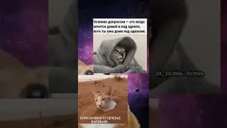 #мем