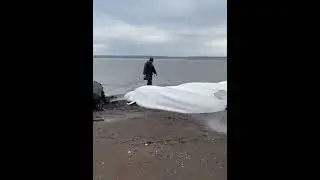 Камчатка, Белух всё же спасли рыбаки поливая водой до прилива.