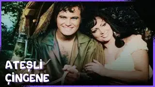 Ateşli Çingene | Türkan Şoray - Ediz Hun Eski Türk Komedi Filmi