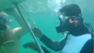 It's Lank Normal!Productions. (SUNKEN BOAT)