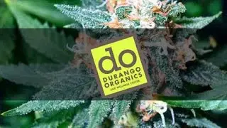 Durango Organics - Black Wolf Review