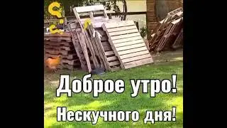 Доброе утро