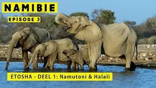 Namibië - Episode 3 deel 1 - ETOSHA