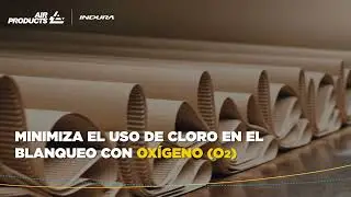 Fabricación de papel y gases industriales.