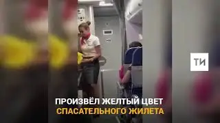 Бразильские болельщики устроили овацию стюардессе