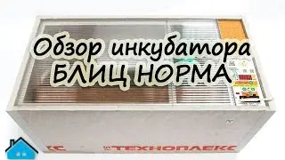 Инкубатор - "Блиц" Норма - обзор