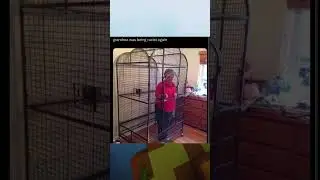 Random memes