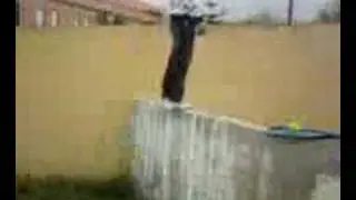 mortal 1