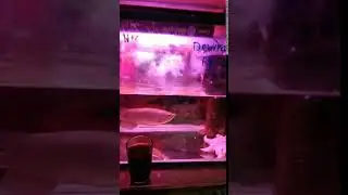 VID 20191016 200103