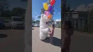 🥰Девочка Очень Обрадовалась Появлению Белого Мишки🥰