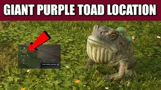 🐸Giant Purple Toad Location Hogwarts Legacy