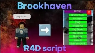 R4D script Brookhaven (Pastebin💯)