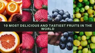 Top 10 Tastiest and Delicious fruits (2022) || WORLD OF DISCOVERY