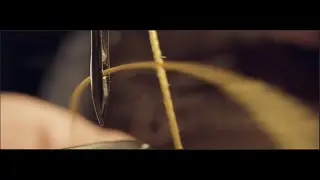 Shoe brush_proshiv