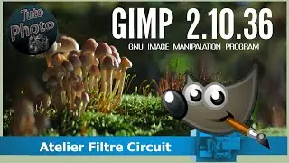 Filtre Rendu Circuit
