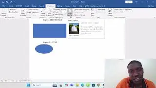 WHAT U MUST KNOW ABOUT LIST OF FIGURES AND LIST OF TABLES IN MS WORD