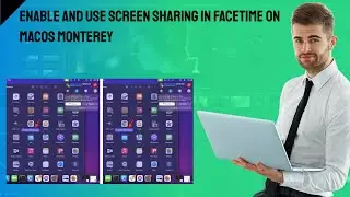 Enable and Use Screen Sharing in FaceTime on macOS Monterey