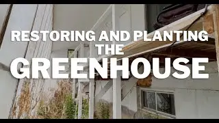Restoring and Planting the Greenhouse