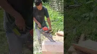 bukan kayu tapi sagu #woodhunter #chainsaw