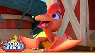¡Pterodáctilo loco! | Dino Ranch Español