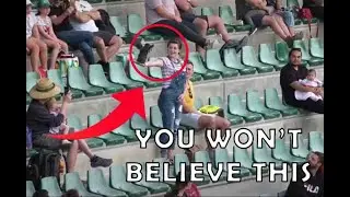 Videos That Will Brighten Your Blue Monday