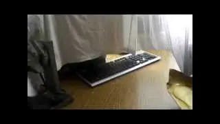 Заказ с Ebay.ru