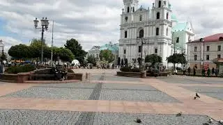 Стоп таракан!