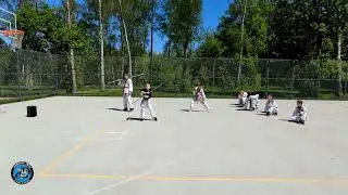 ПОКАЗАТЕЛЬНЫЕ ВЫСТУПЛЕНИЯ TEAM EVOLUTION СПОРТИВНОЕ ХАПКИДО